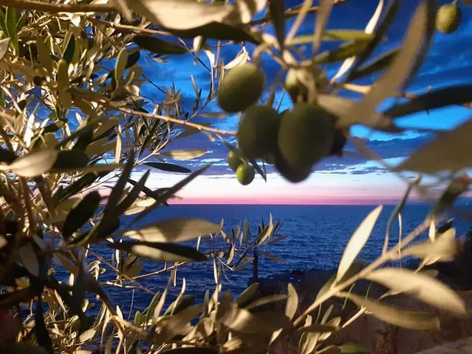 Apartments Marina ウトイェハ エクステリア 写真